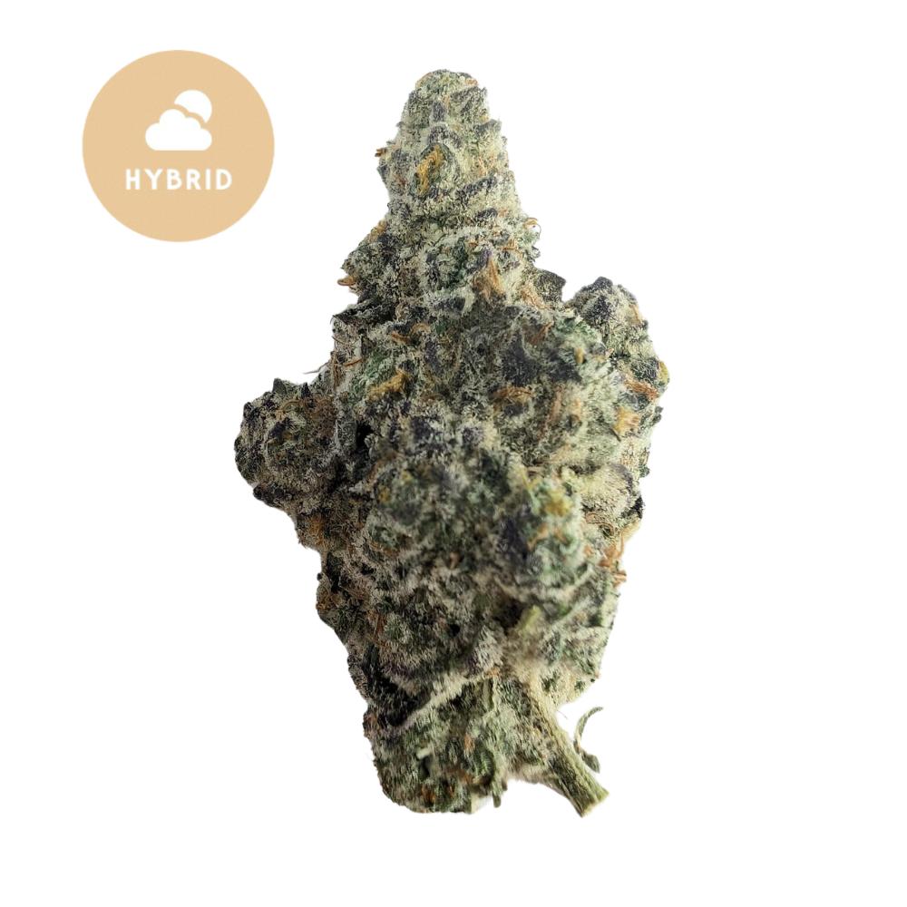 Lilac Diesel THCa - A Harmonious Hybrid Experience