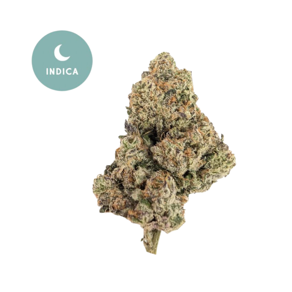 Blue Cookies THCA Flower - Dessert Dream Indica