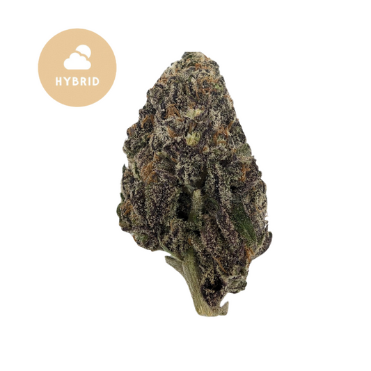 Blueberry Pie THCA - Premium Hybrid Strain with Sweet Balance & Bold Effects