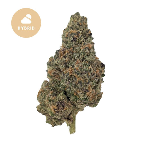 Space Guava THCa  - A Cosmic Hybrid Sativa Experience
