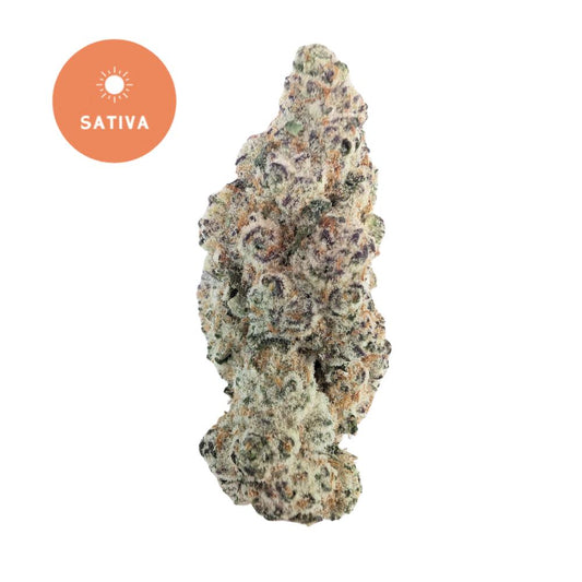 Hawaiian Snowcone THCa Flower - A Tropical Sensation