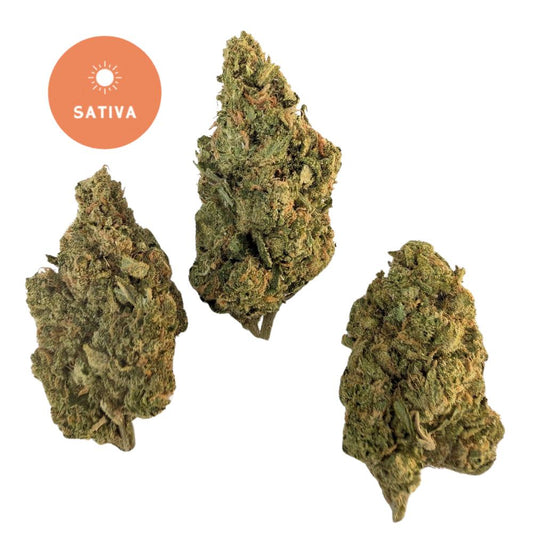 Blue Dream THCa  - Gold for Less Collection 28g