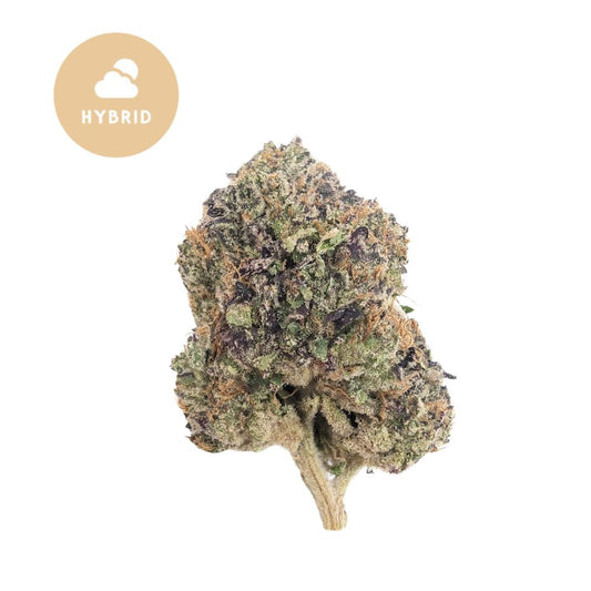 Purple Voodoo THCa - Balanced Indoor Hybrid