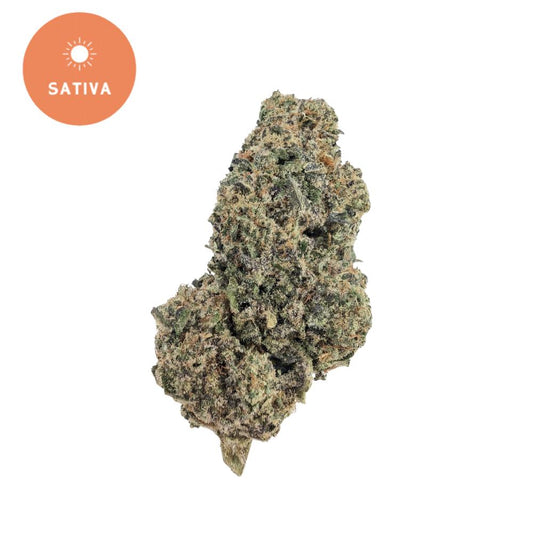 Blue Dream Pie THCa Flower – Energizing Sativa with Premium Potency