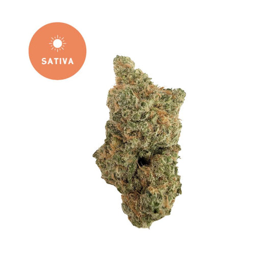 Blue Dream THCa – Legendary Sativa