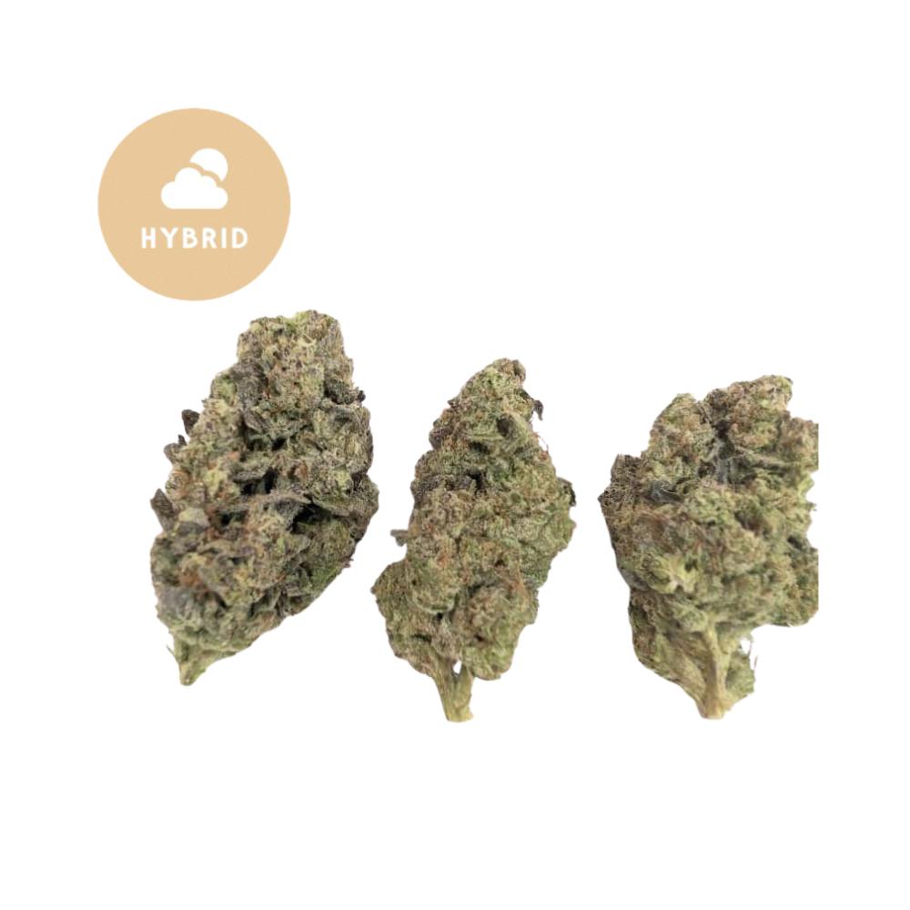 Cali Burger THCA Flower - Gold For Less Hybrid