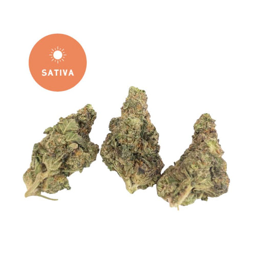 Pie Face THCA Flower - Gold For Less Sativa