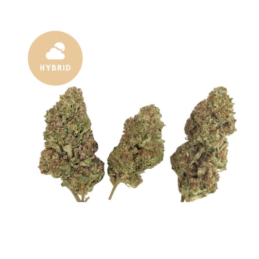 Cadillac Rainbow THCA Flower - Gold For Less Hybrid