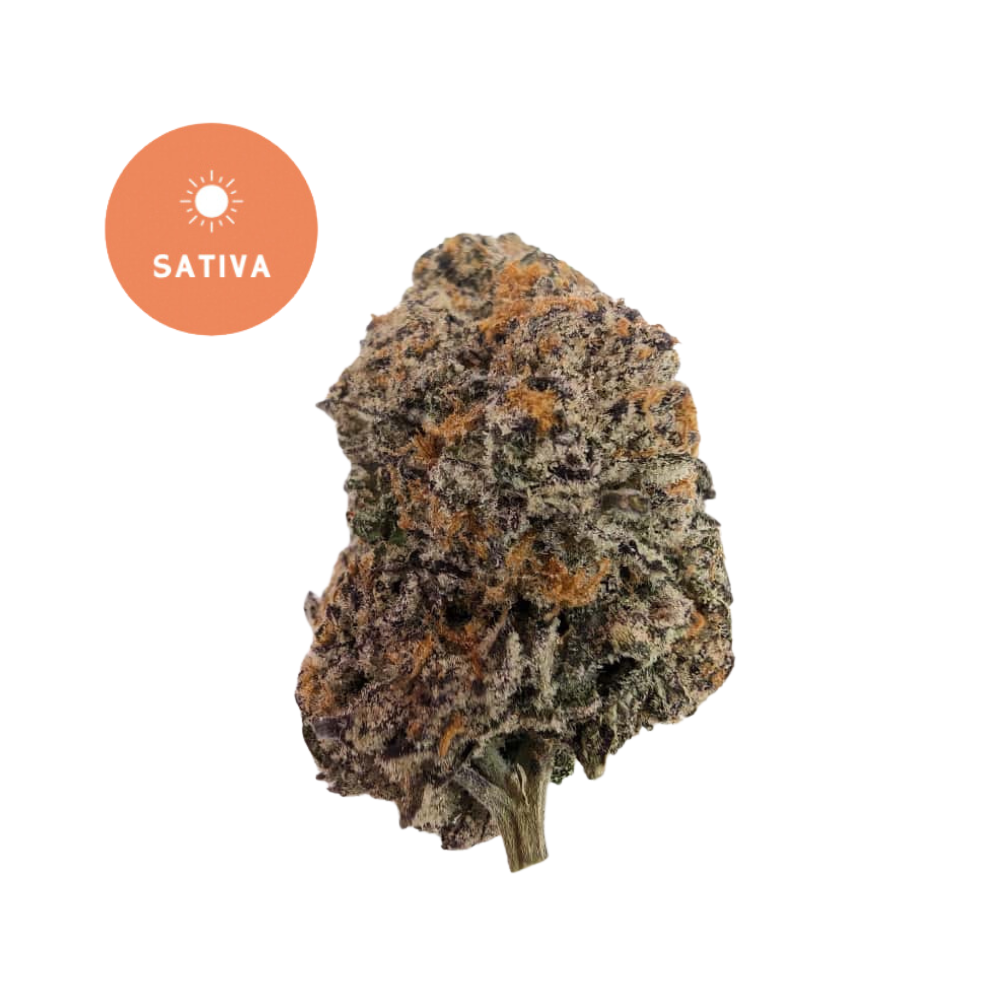 Purple Haze THCA Flower - Psychedelic Sativa Classic