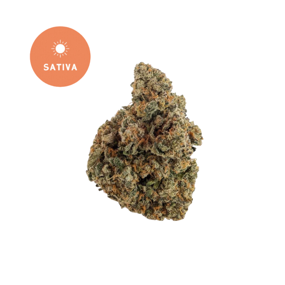 Strawberry Cough THCA Flower - Legendary Sativa Experience